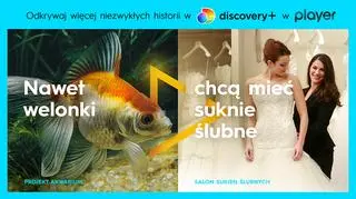 TLC dostępne online w discovery+