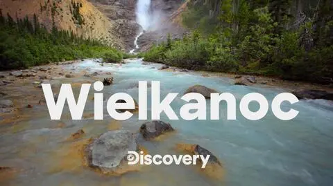 Wielkanoc pełna premier na Discovery Channel! 