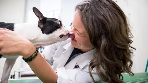 Wydział weterynarii