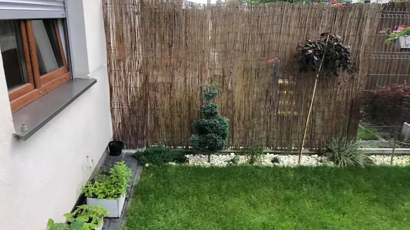 "Wymarzone ogrody": ogród Małgosi i Wojtka przed metamorfozą