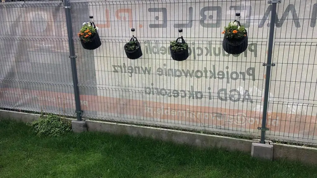 "Wymarzone ogrody": ogród Małgosi i Wojtka przed metamorfozą