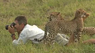 Życie wśród gepardów