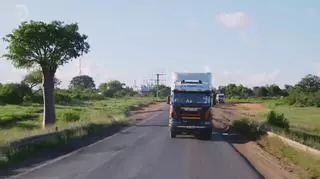 "Ciężarówką przez Afrykę": Tysiącletnie baobaby! 