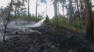 "Strażacy 24h" PRZED EMISJĄ W TV: Ogień zapruszony w lesie