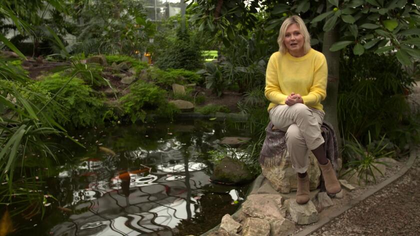 - Woda sprawia, że ogród zaczyna żyć. Zmienia się niesamowicie. Robi się o wiele ciekawszy - tak o wodzie w ogrodach mówi Maja Popielarska. Zobaczcie, jak pomysłowo niektórzy bohaterowie programu "Nowa Maja w ogrodzie" wprowadzili wodę do swoich ogrodów. 