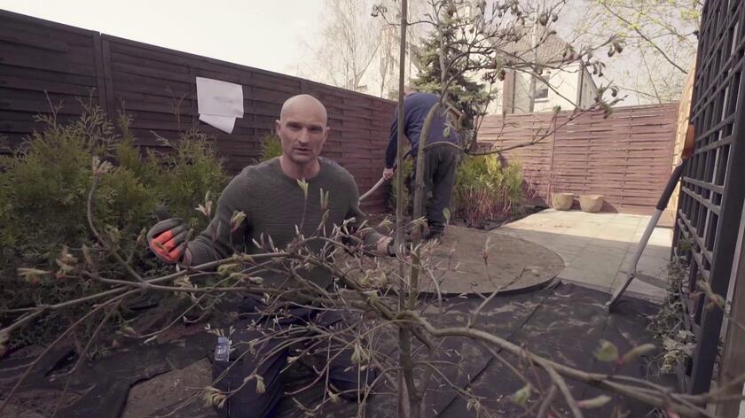 Klon to jedno z bardziej popularnych drzew w Polsce. Nie wszyscy jednak wiedzą, jakich właściwie potrzebuje warunków, by zdrowo rosnąć. Paczkę podstawowych informacji ma dla Was niezawodny Dominik Strzelec z "Polowania na ogród"!