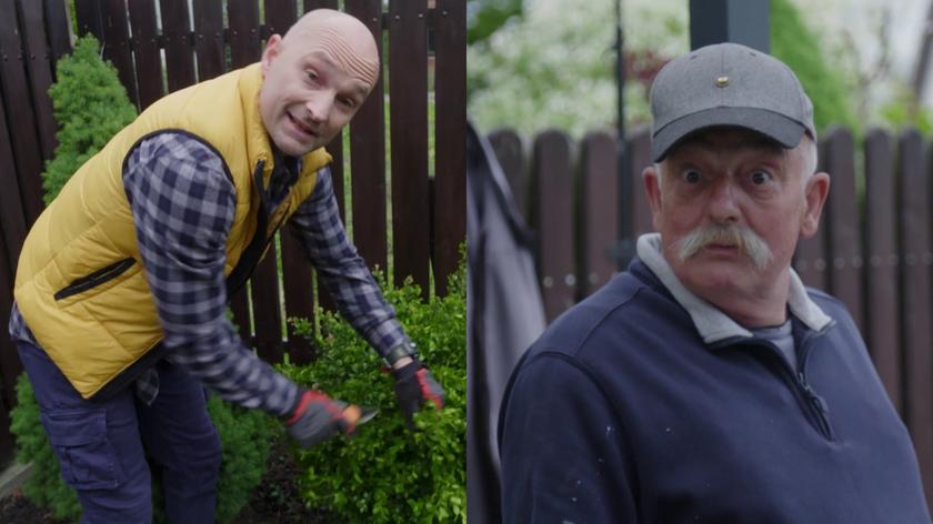 Bukszpan, rosnący w ogrodzie Pawła i Ilony, to jedna z niewielu zastanych tam przez Dominika roślin. Prowadzący "Polowanie na ogród" postanowił jednak, że go przesadzi, a wcześniej przytnie do kształtu kuli. Bez sekatora, którego zabrakło na planie, formowanie bukszpanu okazało się dla Dominika niezłym "czelendżem"!