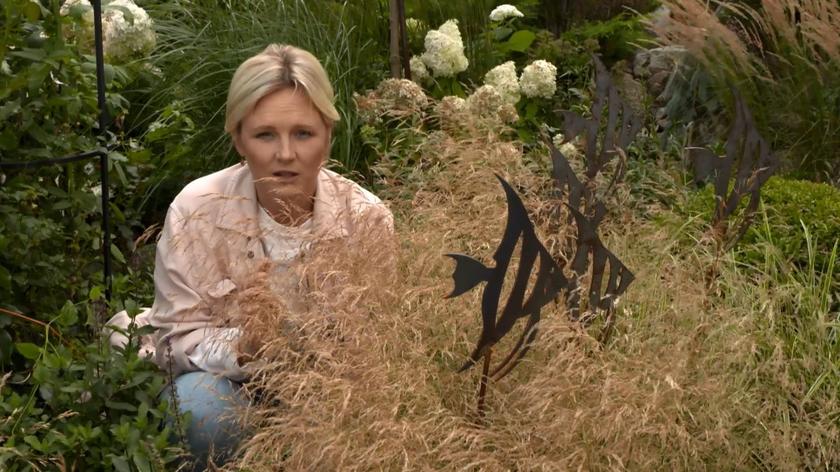 Rdzewiejący metal raczej nie kojarzy nam się z niczym ozdobnym. W ogrodzie pana Przemysława z tego właśnie materiału  powstały jednak zachwycające dekoracje. Zobaczcie sami!