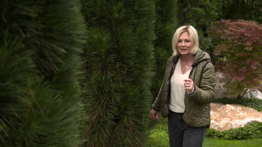 Tuja szmaragd to drzewo najczęściej wybierane na żywopłot. W ogrodzie na stoku Klimczoka w Beskidzie Śląskim postawiono jednak na drzewo bardziej charakterystyczne dla tego regionu Polski, czyli sosnę. Sosna czarna w odmianie green tower regularnie strzyżona pięknie się zagęszcza i świetnie sprawdzi się jako zaznaczenie granicy działki. Między drzewami ściele się zielony dywanik stworzony dzięki nieoczywistemu połączeniu pragni syberyjskiej i pięciornika. 