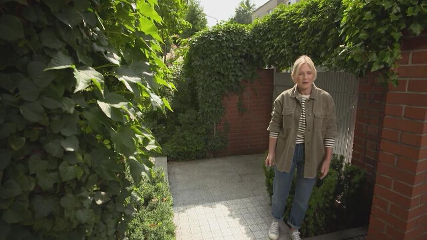 Nowa Maja w ogrodzie: Dlaczego warto hodować bluszcz?