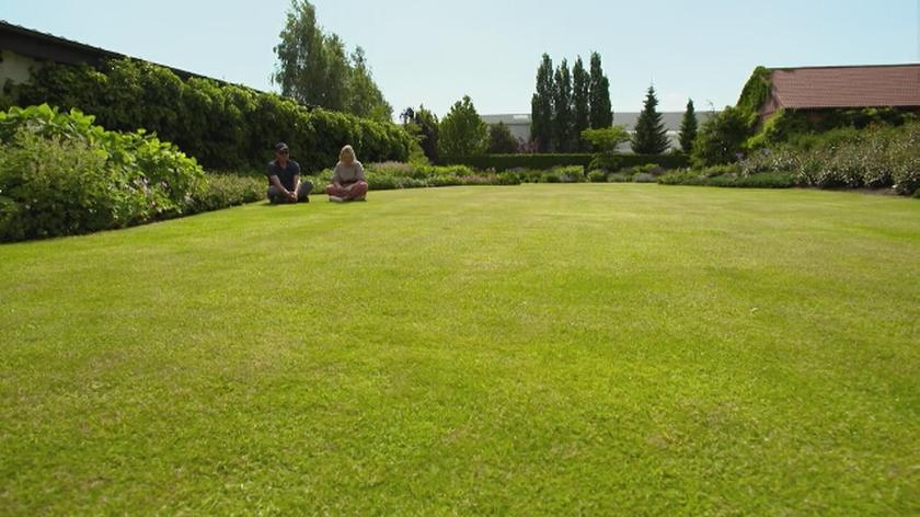 Nowa Maja w ogrodzie: idealny trawnik!