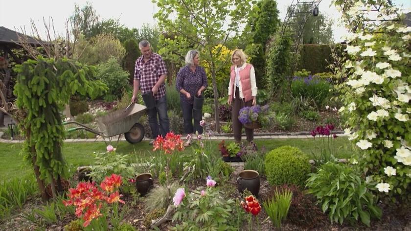 Nowa Maja w ogrodzie: Jak powstawał ogród? Właściciele ogrodu szykują się do letniej odsłony! Maja Popielarska zajrzała do tego miejsca i zapytała o początki tego miejsca. Zapraszamy na piękny spacer i ciekawą historię!