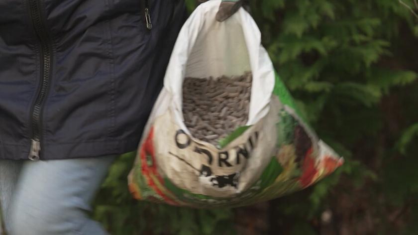 Nowa Maja w ogrodzie: Naturalne preparaty do nawożenia roślin