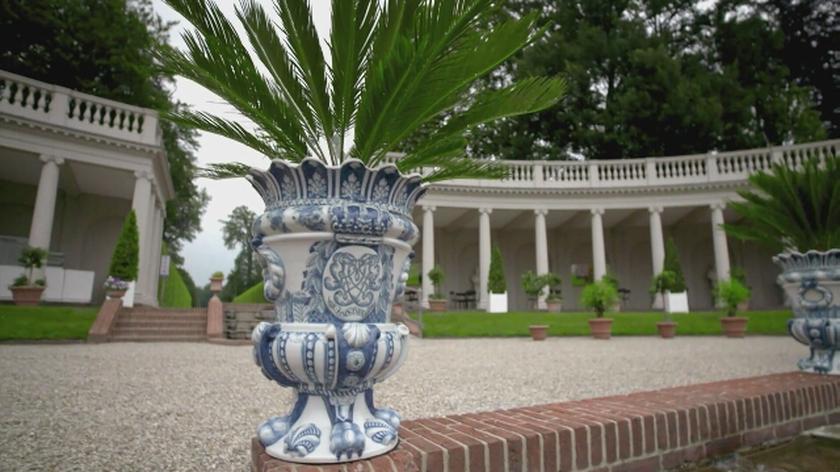 Nowa Maja w ogrodzie: Rośliny egzotyczne! W ogrodzie pałacowym znajduje się potężna kolekcja. Niektóre rośliny mają ponad 300 lat. Zapraszamy na wyprawę, która dostarczy Wam wiele wrażeń i niezwykle ciekawych informacji!