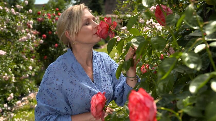"Nowa Maja w ogrodzie": różane rabaty rozciągają się tu na 150 metrach kwadratowych!