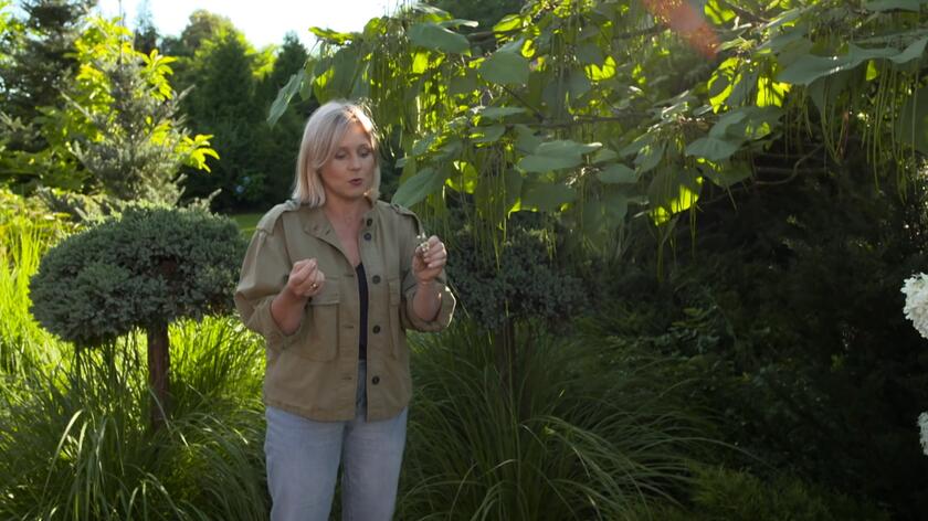 W 32. odcinku 5. sezonu programu "Nowa Maja w ogrodzie" wraz z Mają Popielarską odwiedziliśmy ogród zlokalizowany niedaleko Myślenic. Swoje ogrodowe królestwo stworzyła tutaj pani Małgosia. Ogrodnictwo to jej prawdziwa pasja. Zna wiele ciekawych ogrodowych patentów, a na jej działce można znaleźć mnóstwo interesujących gatunków. Uwagę Mai Popielarskiej przykuła surmia żółtokwiatowa, inaczej zwana katalpą. 