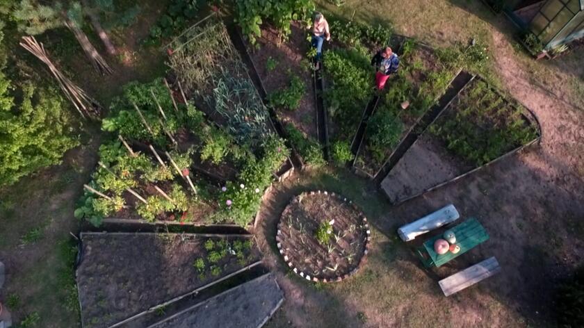 Ogród nad jeziorem Zelwa, który Maja Popielarska odwiedziła w 22. odcinku programu "Nowa Maja w ogrodzie" służy przede wszystkim celom wypoczynkowym. Jej lwia część to ogród czysto rekreacyjny - wypielęgnowany trawnik, na którym aż chce się odpoczywać oraz piękne rośliny. Z tyłu znalazło się jednak miejsce na mały warzywnik. Powstał on z potrzeby właścicielki pani Joli, która nie była w stanie znaleźć wszystkich potrzebnych produktów w pobliskich sklepach. Postanowiła więc wyhodować je sama. Ten niezwykły warzywnik znajduje się w części leśnej ogrodu i ze względu na korzenie okolicznych drzew cały znajduje się na wzniesieniu w skrzyniach. Tworzą one półkole, a patrząc z lotu ptaka przypominają płatki kwiatu.  Taki układ skrzyń pozwala na swobodny dostęp do każdego miejsca tego warzywnika Warzywnika, który rozwija się na kompoście uzyskanym w tym ogrodzie. 