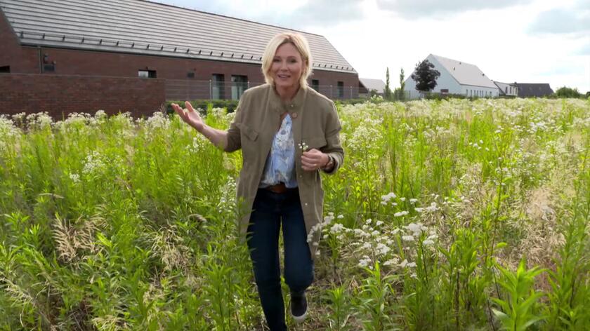 W 26. odcinku 3. sezonu "Nowej Mai w ogrodzie" odwiedzimy ogród w okolicach Wrocławia, wokół domu nazwanego akustycznym - zbudowanego tak, by tłumił dźwięki z zewnątrz i wewnątrz. Nowoczesny parterowy budynek, który architekturą nawiązuje do dawnych wiejskich zabudowań, jest otoczony naturalistycznym ogrodem, także prostym w formie. 
