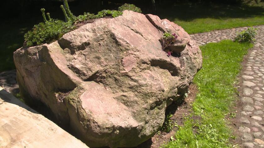 Pan Andrzej, bohater 6. odcinka "Nowej Mai w ogrodzie", duże, znajdujące się na działce kamienie złagodził roślinami, tworząc z nich oryginalne ogródki skalne. Zobaczcie, jak je zrobił!