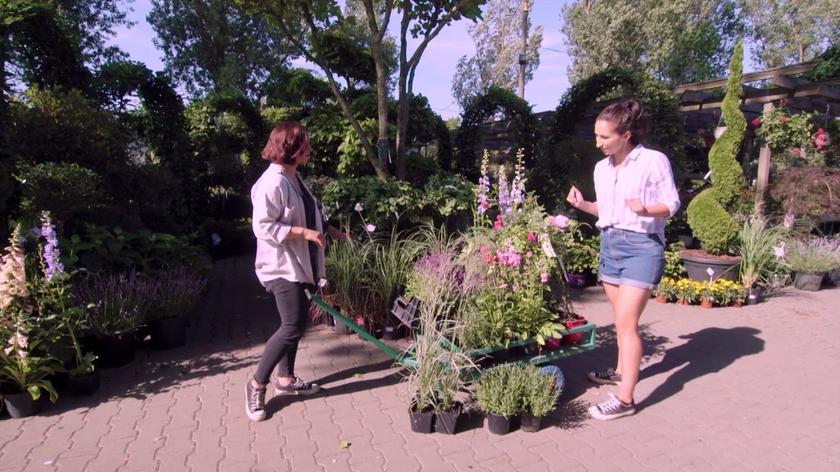 Zobaczcie, jakie kwiaty wybrały Olga i Iza do ogrodu Małgosi i jej córki Oli w 7. odcinku "Wymarzonych ogrodów"!