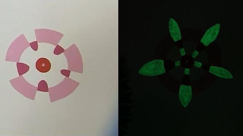 Kwiaty namalowane farbą fluorescencyjną na pewno spodobają się wszystkim dzieciom!